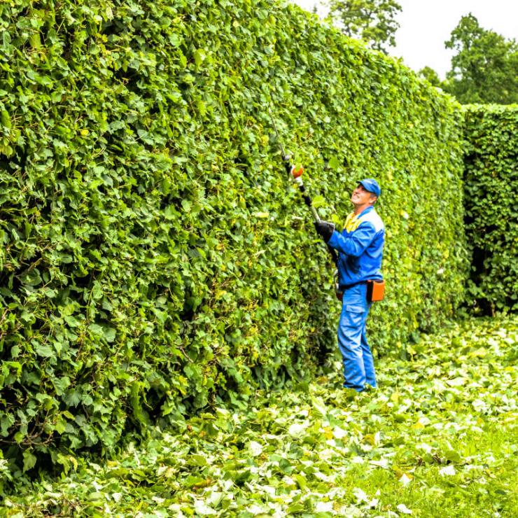 entretien espaces verts laon